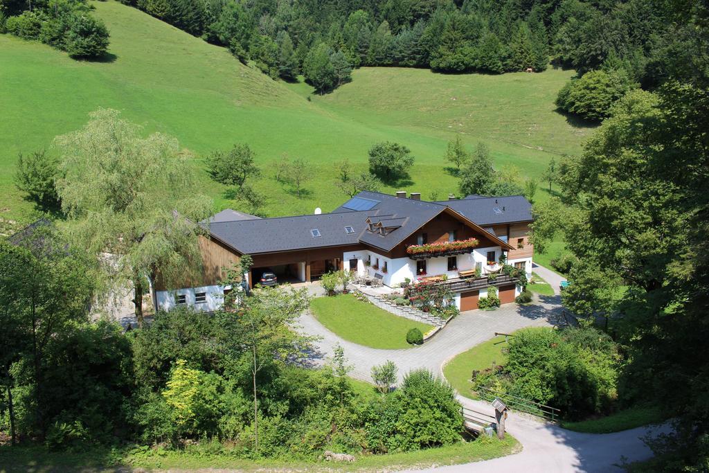 Urlaub Mitten Im Wald - Lueg Scheibbs Kültér fotó